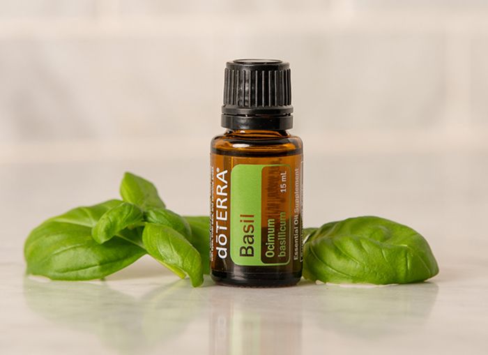 Bazsalikom - Basil 15ml - Megújulás olaja