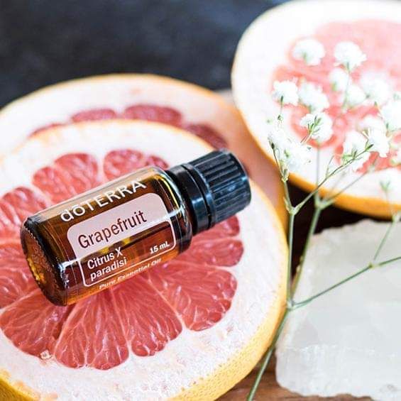 Grépfruit - Grapefruit 15ml - A test tiszteletének olaja