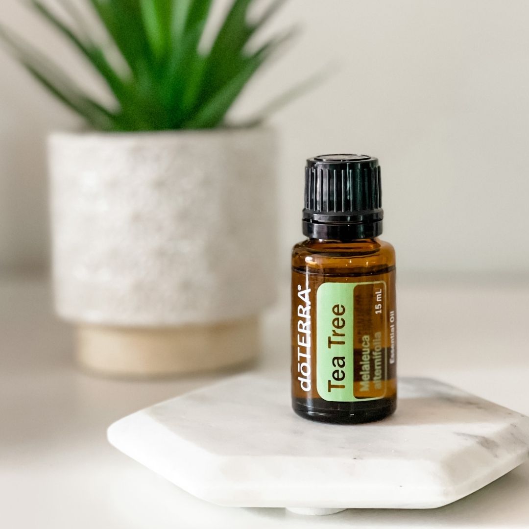 Teafa - Melaleuca 15ml - Energetikai határok olaja