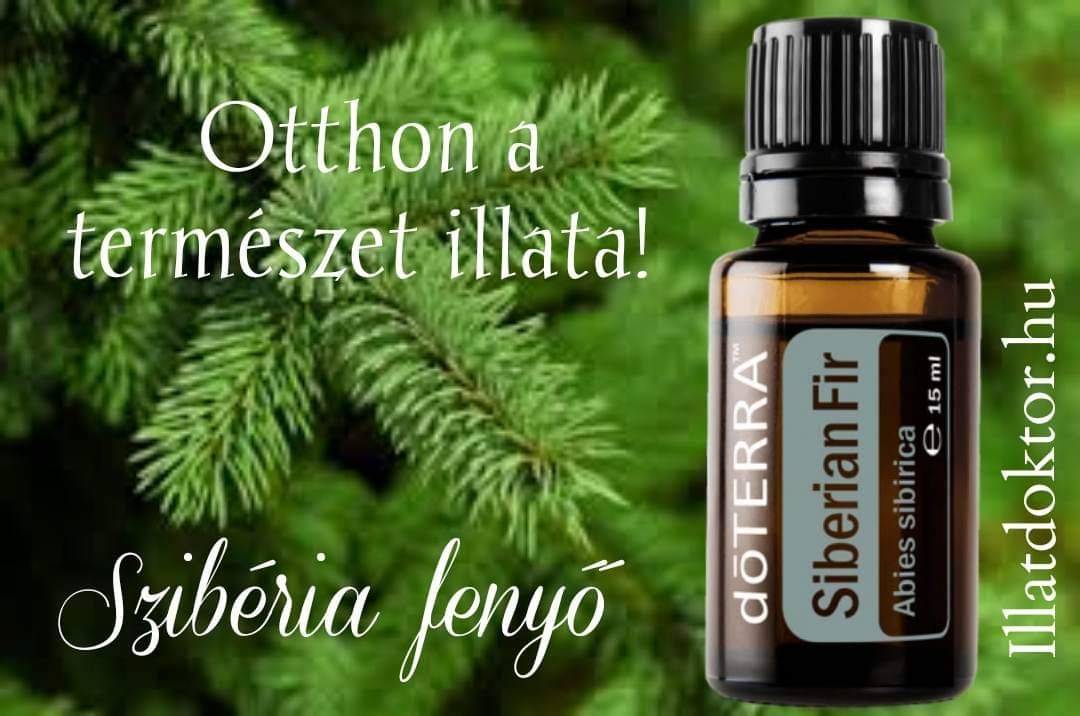 Szibériai jegenyefenyő- Siberian Fir 15ml - Idősödés és távlat olaja